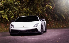 152-White Lamborghini.jpg (240×150)