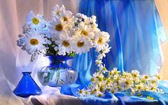 347-daisy_vase_flowers_bouquet_decoration.jpg (240×150)