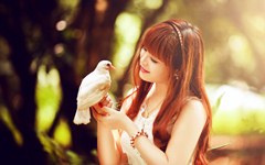 67-asian-girl-white-bird.jpg (240×150)